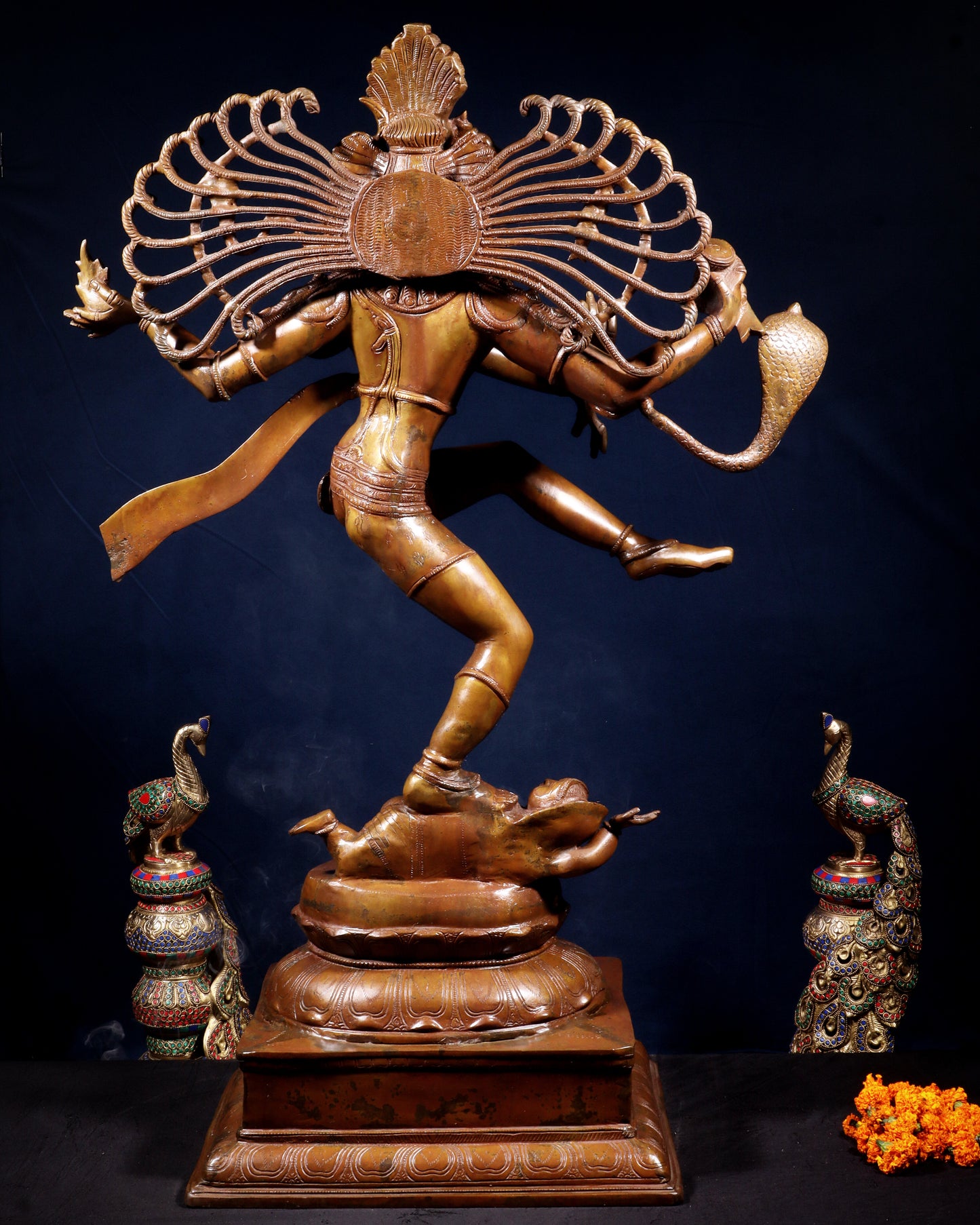 Brass Large Dancing Shiva as Nataraja (Without Ring) – Chola Bronze Replica, Copper Coated 40"
