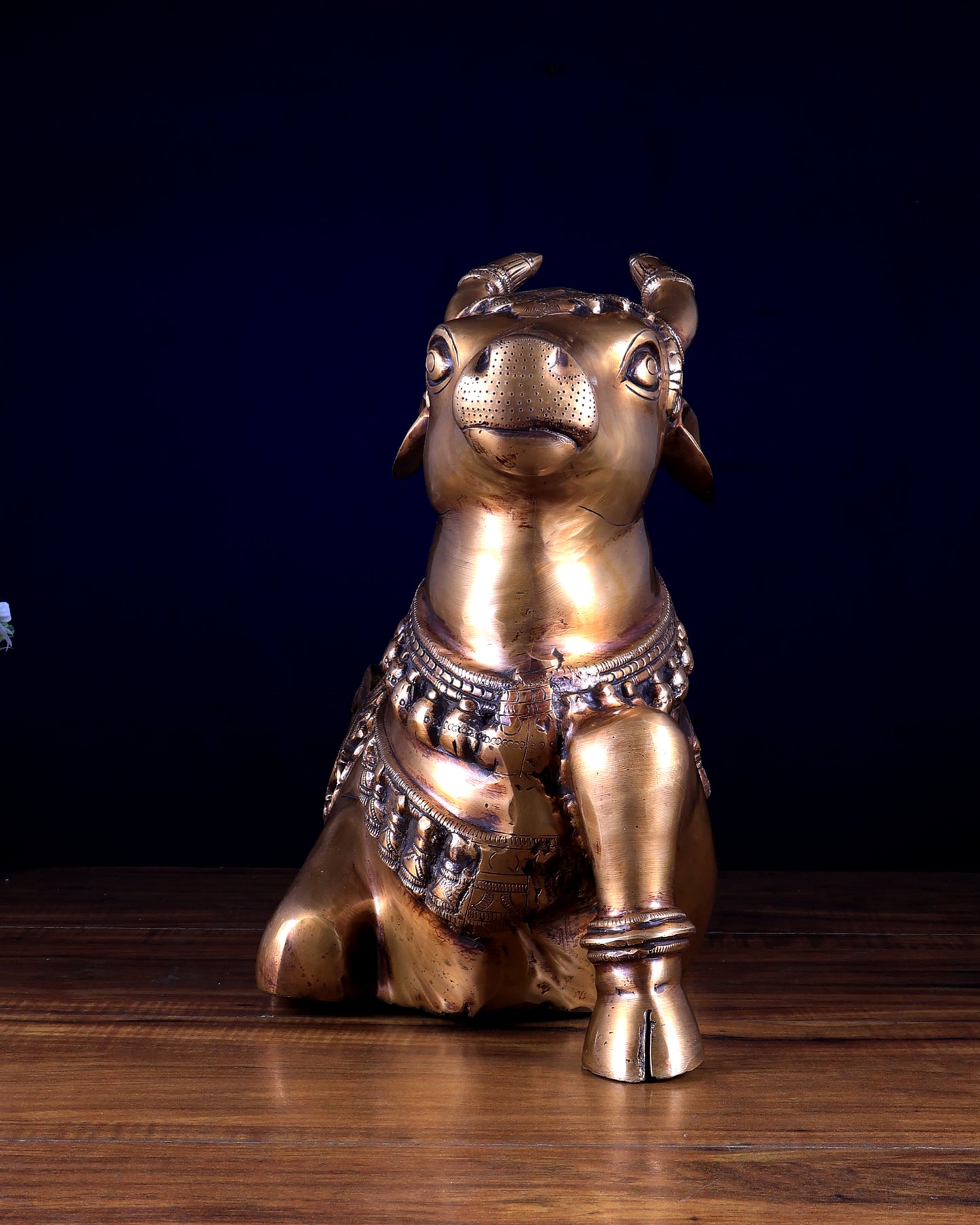 Radiant Nandi Brass statue 18 inch wide