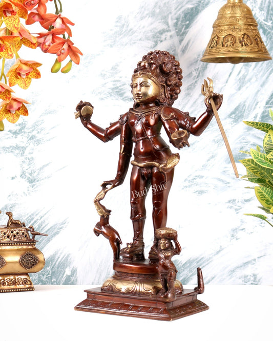 Brass Bhikshatana Kaal Bhairava Shiva Idol - 15 inch dual tone - Budhshiv.com