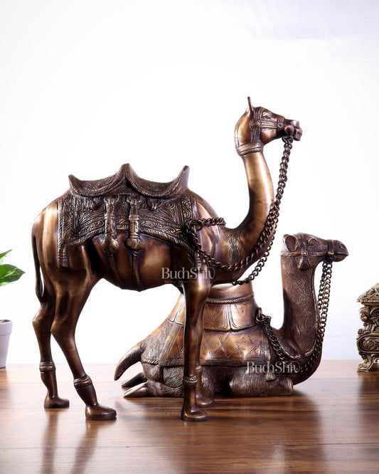 Brass Camel Statue Pair – Standing and Seated (Vastu Approved) 17" - Budhshiv.com