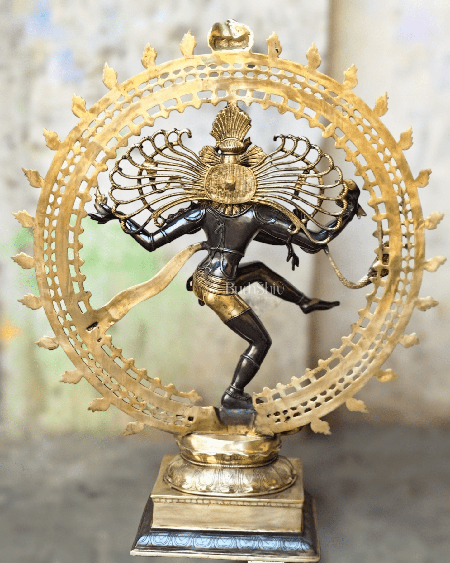 Brass Dancing Shiva as Nataraja Statue – Black & Gold Finish, 46.5 Inch - Budhshiv.com