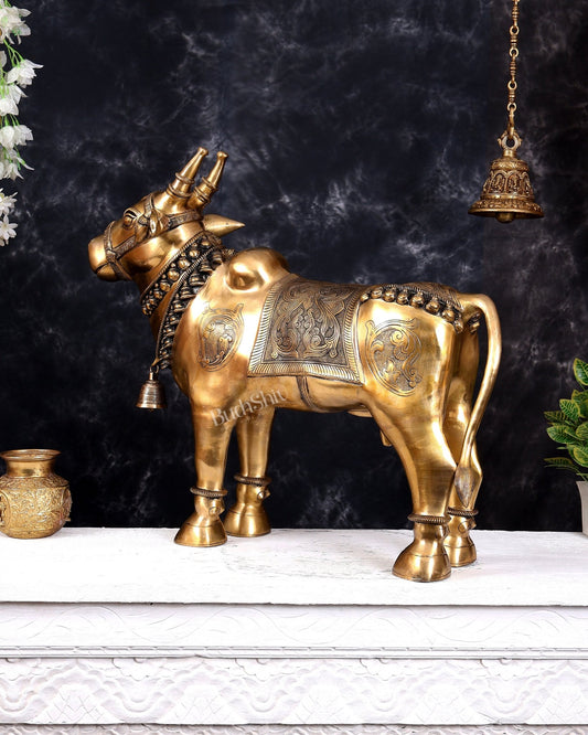 Brass Large Standing Nandi with Tongue Out β Rare Auspicious Form 30 inch - Budhshiv.com