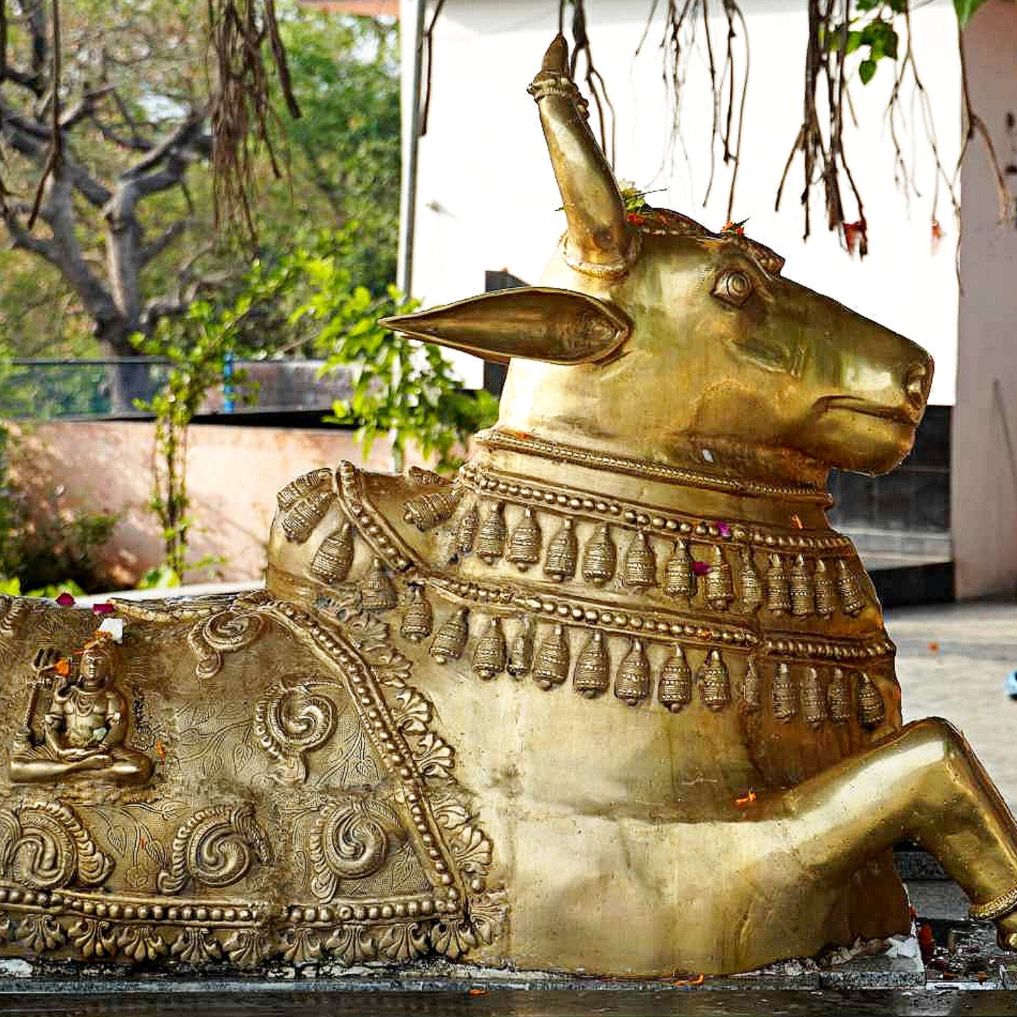 Brass Nandi Statue with Lord Shiva Carvings – Massive 44"x81"x35", 145 kg - Budhshiv.com