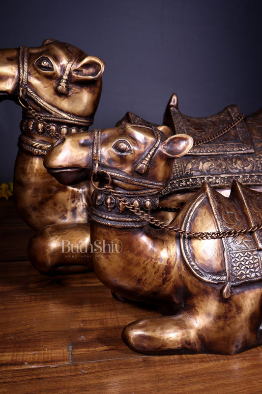 Brass Pair of large Sitting Camel Statues 36" Vastu approved - Budhshiv.com