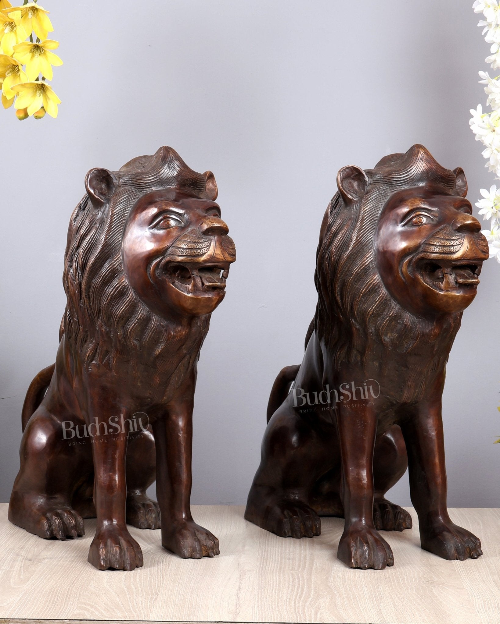 Brass Sitting Lion Large Statue pair – Antique Tone 23 inch – Budhshiv.com