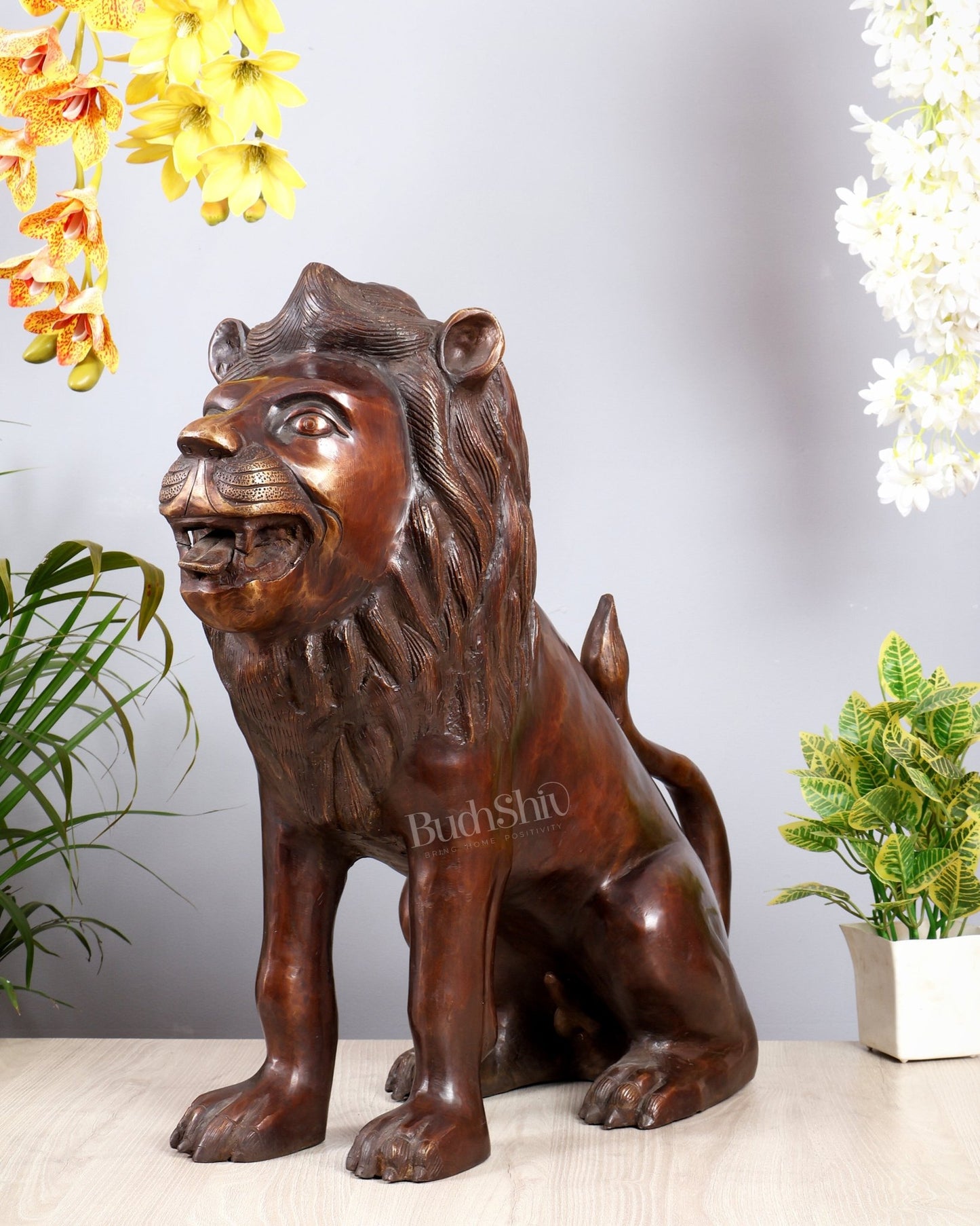 Brass Sitting Lion Large Statue pair – Antique Tone 23 inch - Budhshiv.com