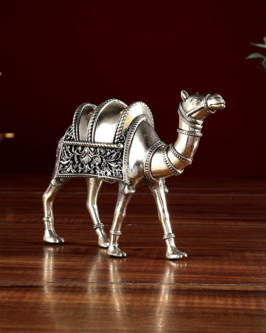 Brass Superfine Camel Statue | Vastu Approved 6" - Budhshiv.com