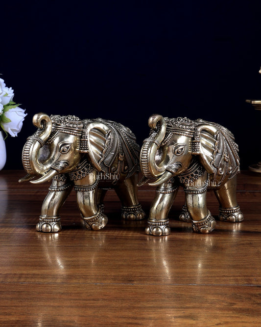 Brass Superfine Intricately Carved Elephant Statue 6.5 inch pair - Budhshiv.com