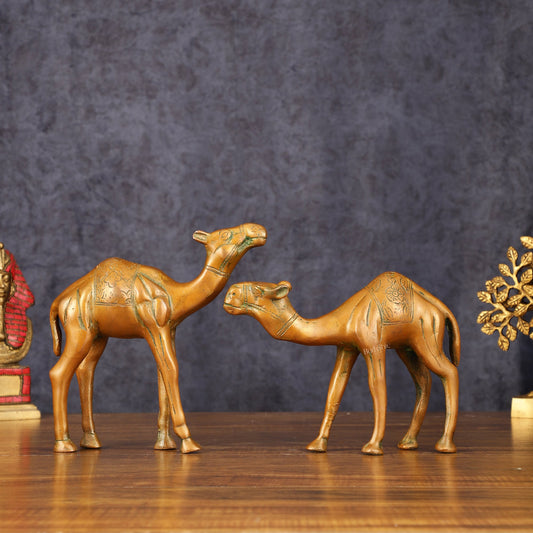 Brass Superfine Pair of Camel Vastu Recommended - 7" Tall - Budhshiv.com