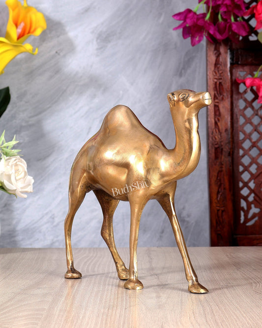 Brass Unique Camel Statue β Handcrafted Decorative Desert Animal Showpiece 8 inch - Budhshiv.com