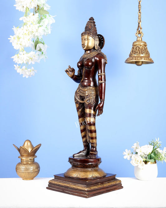 Goddess Parvati Standing Brass Sculpture – 27" Height, Double chola finish - Budhshiv.com