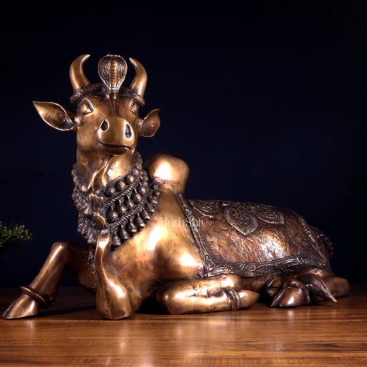 Majestic Pure Brass Nandi Statue with Vasuki 25" - Budhshiv.com