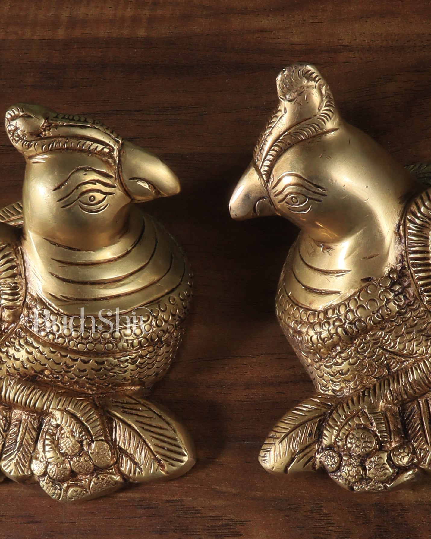 Pair of Brass Parrots wall hanging - Budhshiv.com