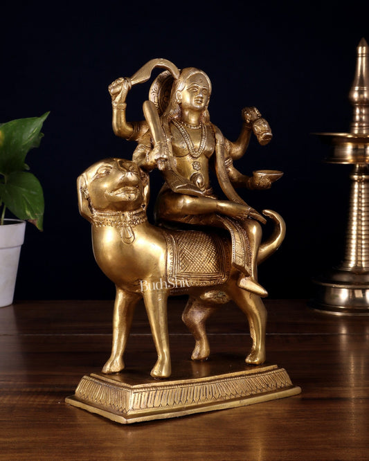 Pure Brass Lord Kaal Bhairava Sitting on Dog Vahana - 9.75" - Budhshiv.com