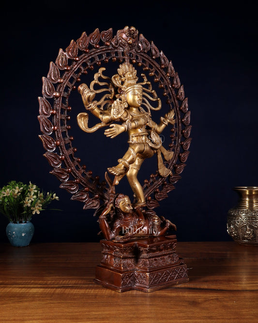 Pure Brass Nataraja Statue - Height 17" - Budhshiv.com
