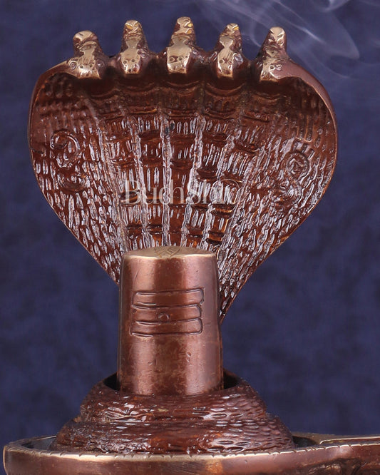 Pure Brass Shivling with Copper Tone | Compact and Auspicious - Budhshiv.com