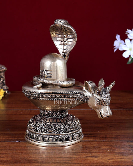 Pure Brass Superfine Shiva Ling with Nandi Face – 7.3" Height - Budhshiv.com