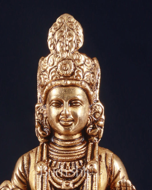 Pure Brass Swaminarayan Sahajanand Swami Superfine Idol – 7 Inch - Budhshiv.com