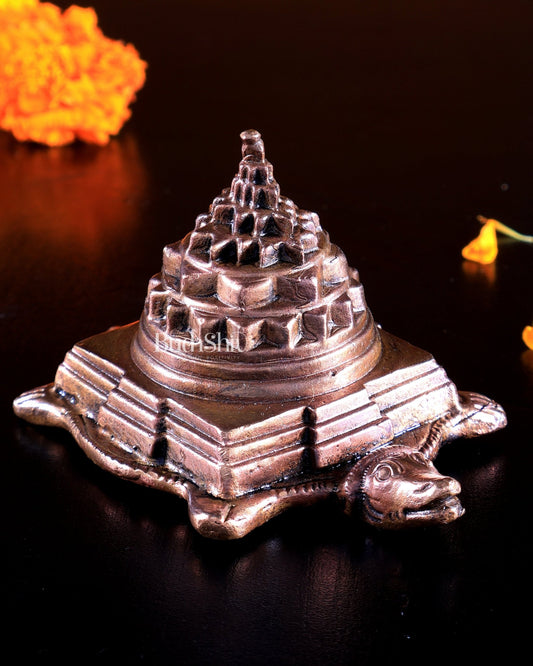 Pure Copper Kurma Meru Shree Yantra on Tortoise | BudhShiv - Budhshiv.com