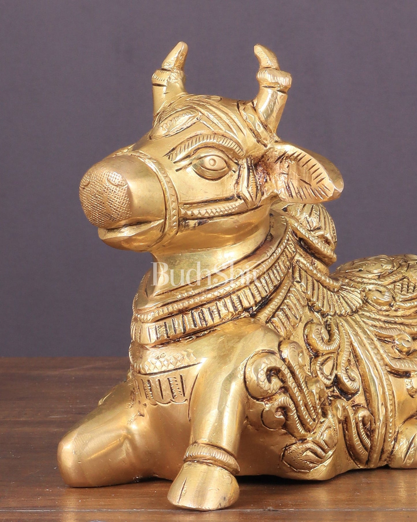 Superfine Brass Nandi engraved 8" wide - Budhshiv.com