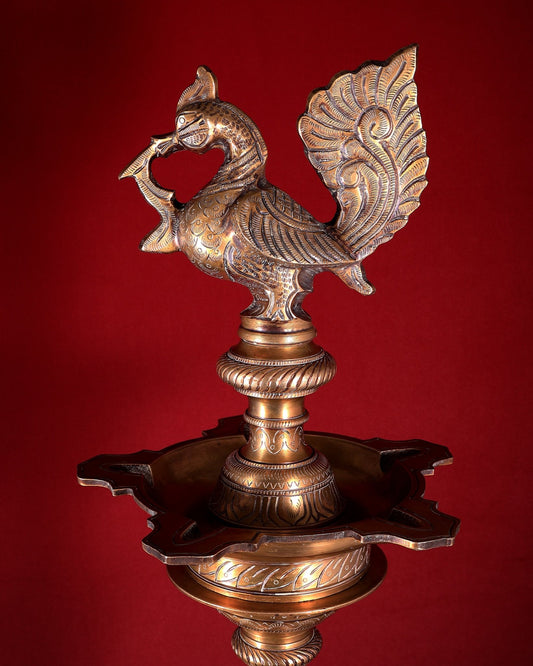 Vintage Brass Peacock Annam Pakshi Inauguration Oil Lamp (Samai / Diya) – Large & Rare 49 inch - Budhshiv.com
