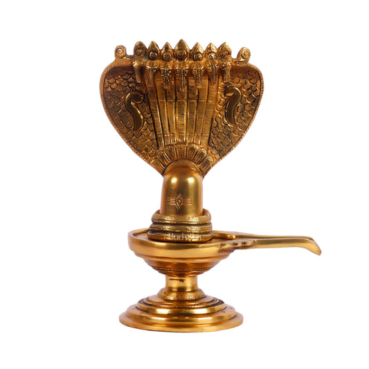 Brass Shivling 8 " - Budhshiv.com