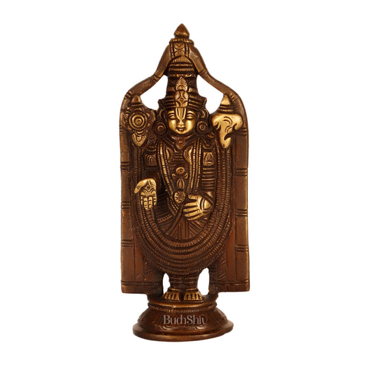 Brass tirupati Balaji statue 8" - Budhshiv.com