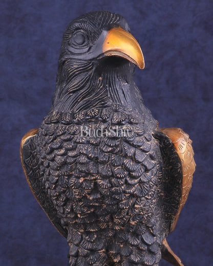 Pure Brass Eagle Statue in Antique Tone | Vastu & Feng Shui 13"