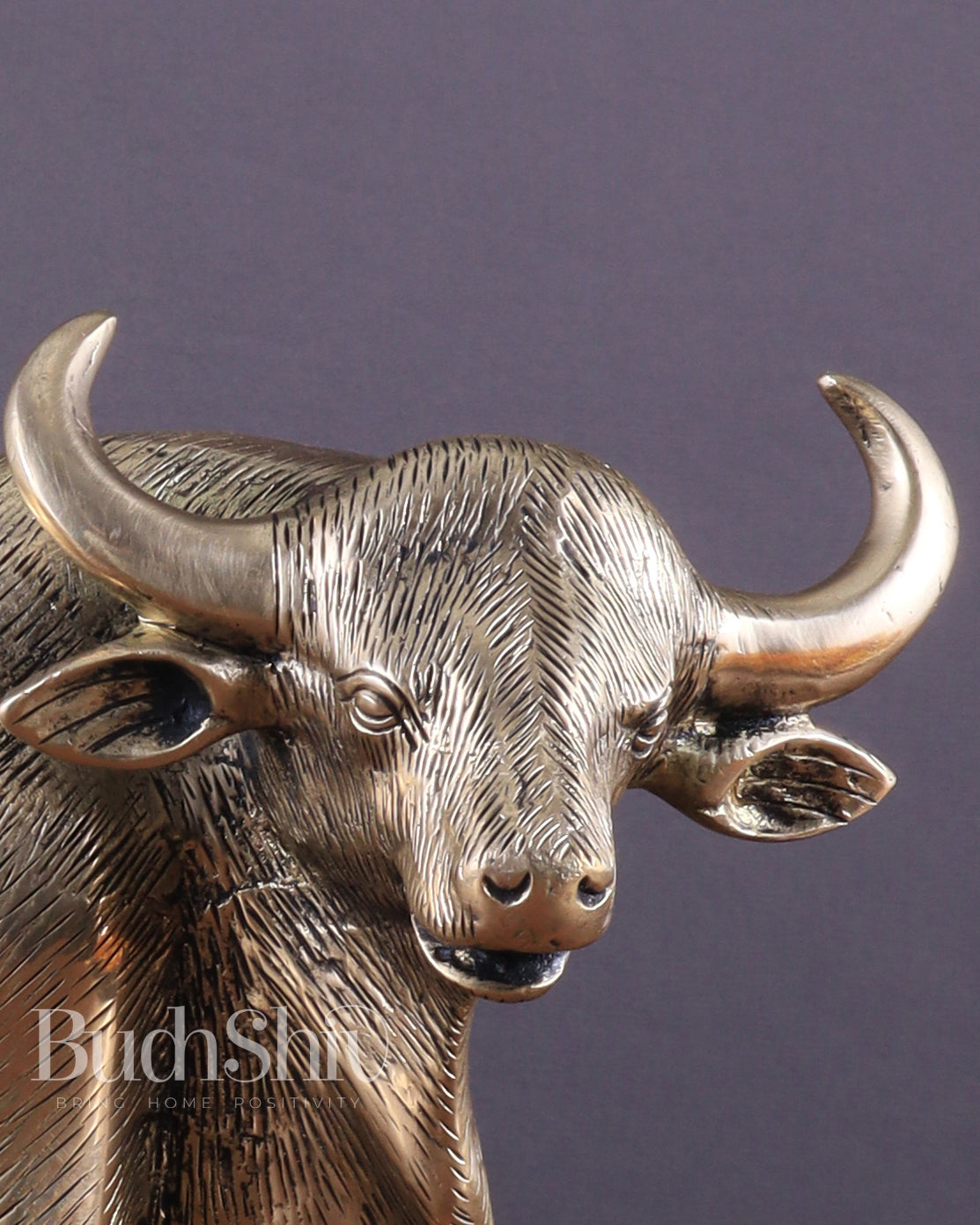 Pure Brass Standing Bull Statue – Vastu & Feng Shui Recommended