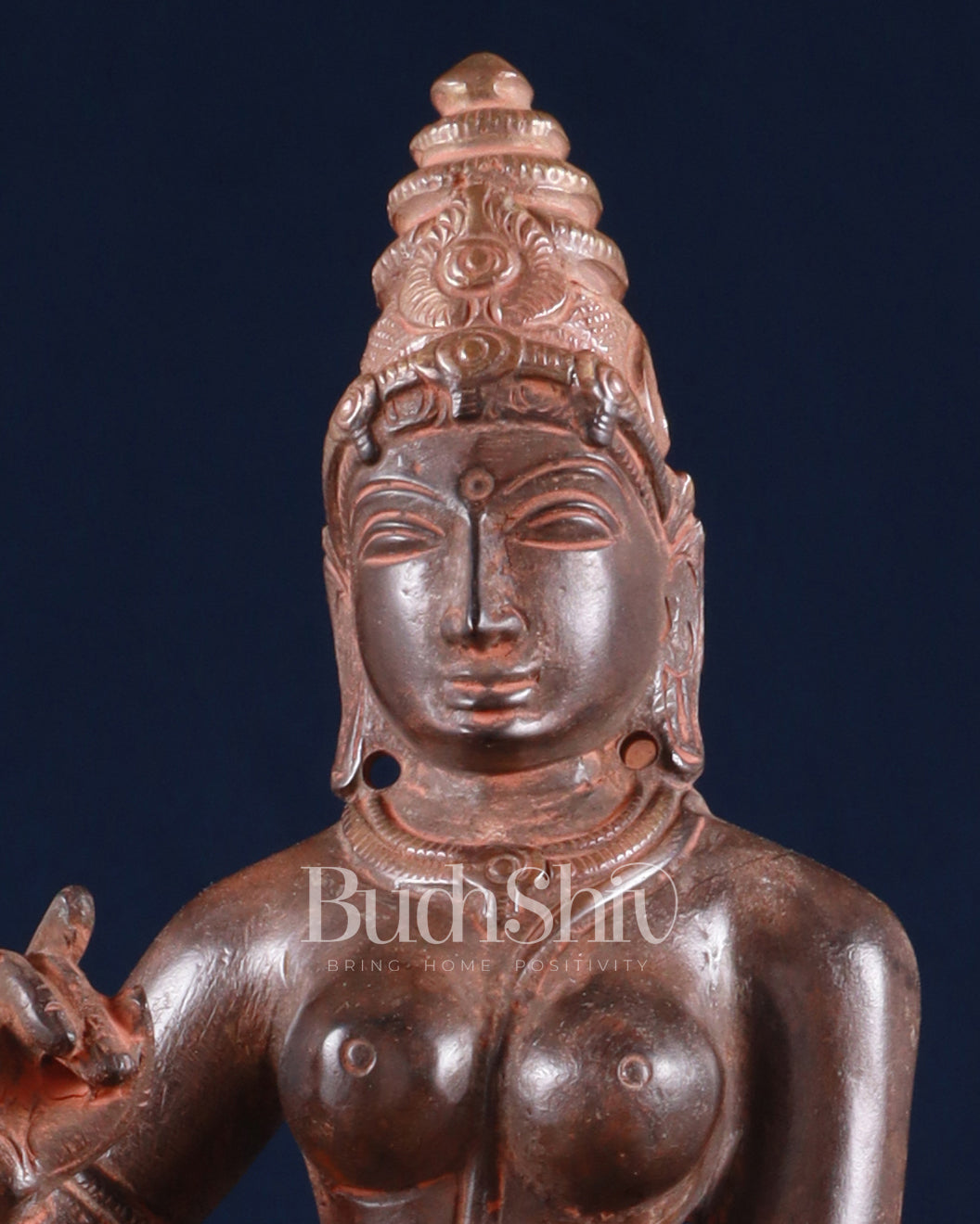 Brass Devi Parvati Uma Idol | 10 Inches | red sand finish