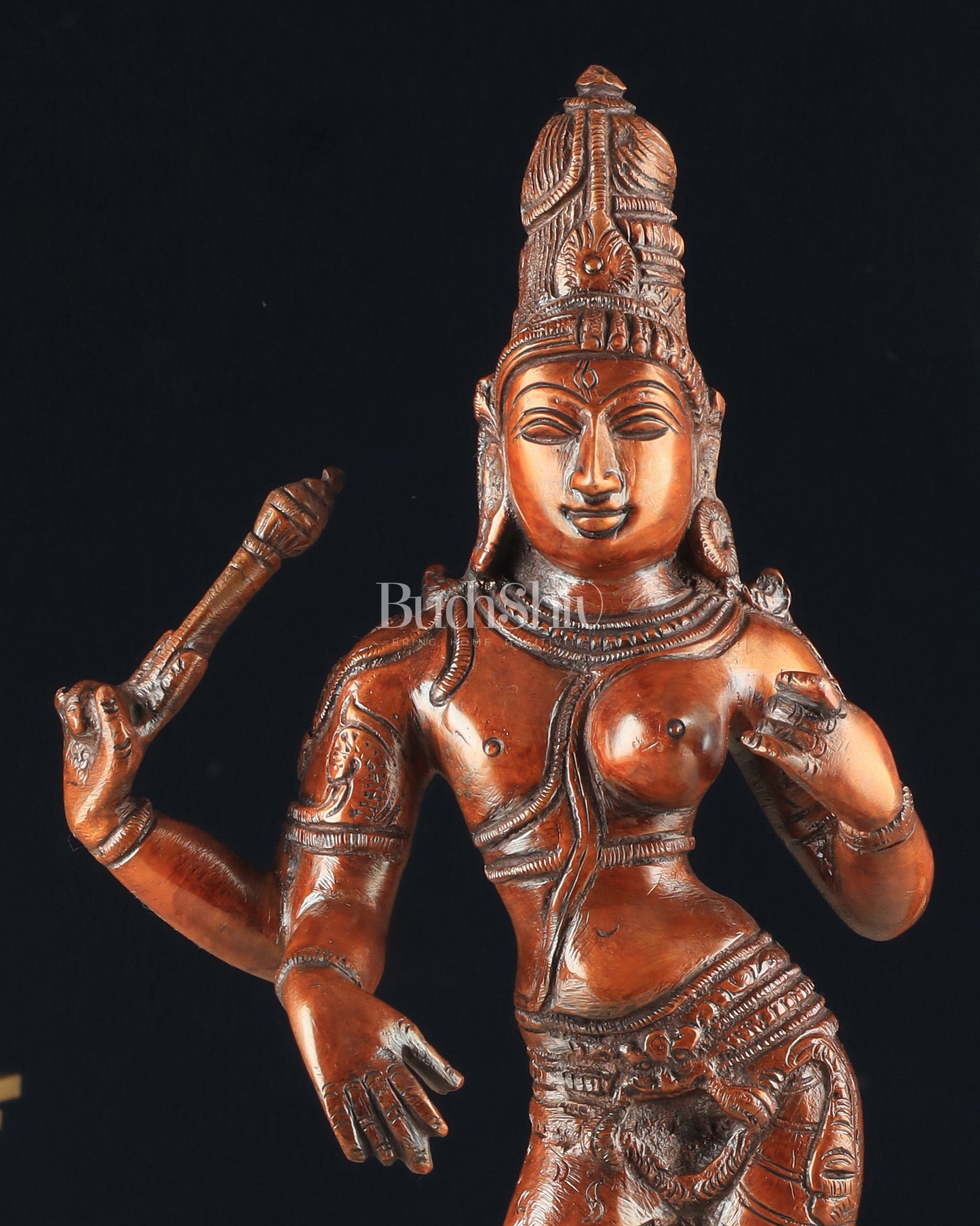 Pure Brass Ardhanarishwara Vintage dark red - 12.5 Inch