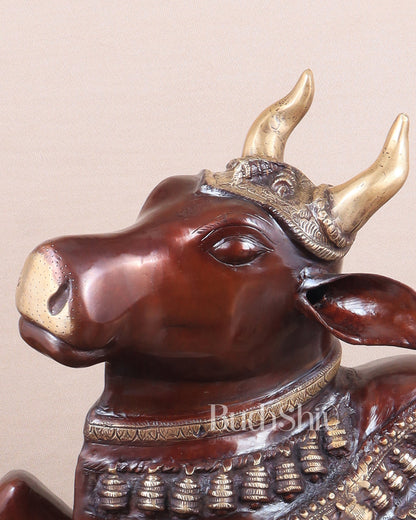 Brass Large Nandi statue 33" glossy brown