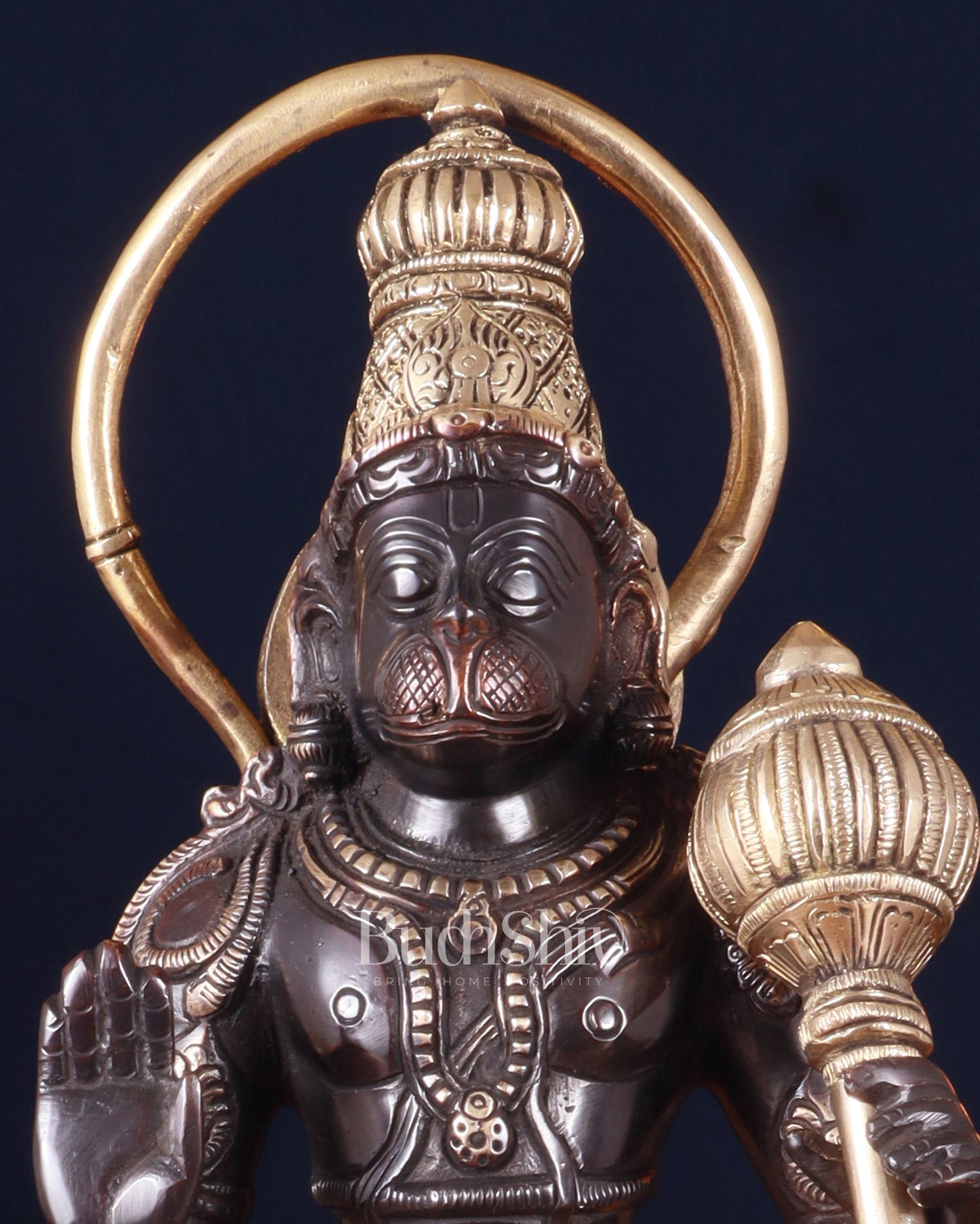 Pure Brass Standing Lord Hanuman Statue – Black Edition, 14.5 Inch