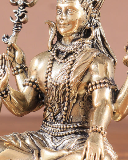 Brass Superfine Intricate Blessing Lord Shiva Idol – Crafted with Perfection