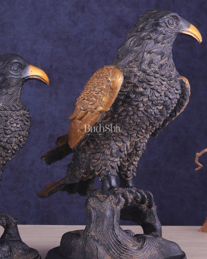 Pure Brass Large Pair of Eagles in Antique Tone | Vastu & Feng Shui Approved 15"