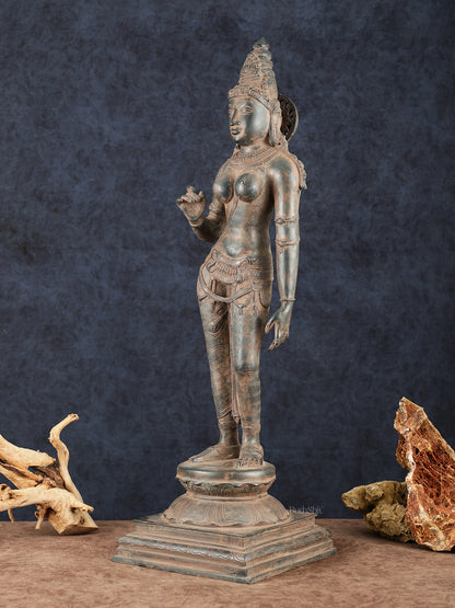 Goddess Parvati Standing Brass Sculpture – 27" Height, South Indian Chola Style