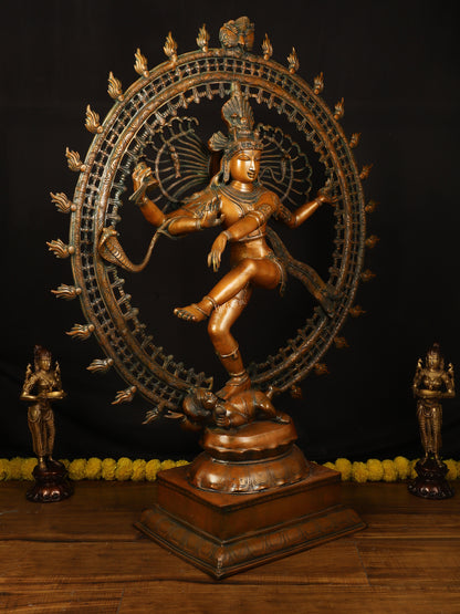 Brass Large Lord Shiva as Nataraja - 46.5 Inch, Antique Bronze Finish