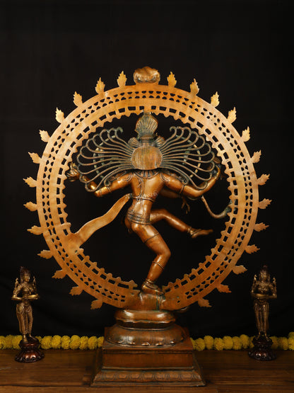 Brass Large Lord Shiva as Nataraja - 46.5 Inch, Antique Bronze Finish