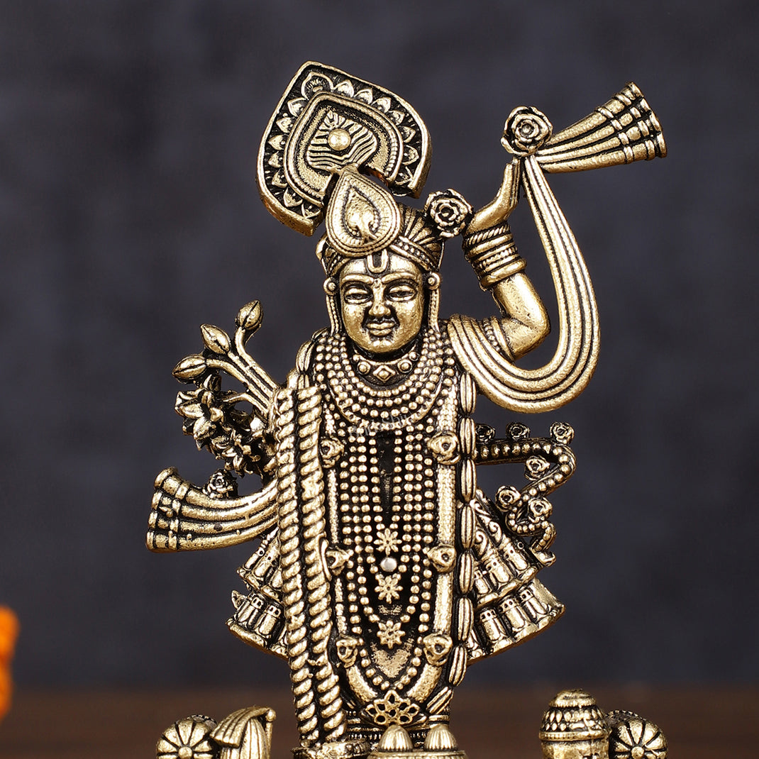 Pure Brass Intricately Carved Shreenath Ji Idol 4"