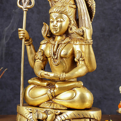 Pure Brass Lord Shiva in Meditation Dhyana Mudra | Height: 12.5 inch