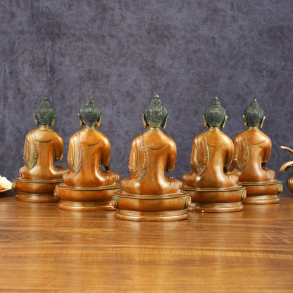 Brass Set of 5 Dhyani Buddha Statues - 8 inch