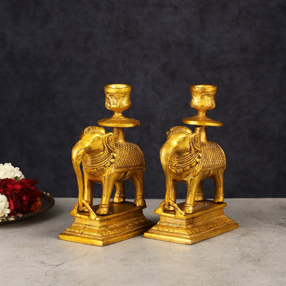 Pure Brass Pair of Elephant Candle Holders