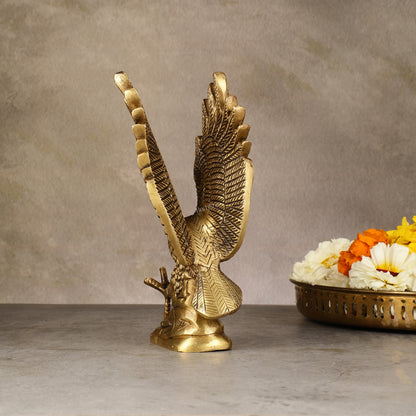 Brass Vastu Eagle with Open Feathers - 7.5" fengshui