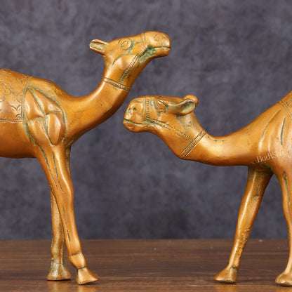 Brass Superfine Pair of Camel Vastu Recommended - 7" Tall