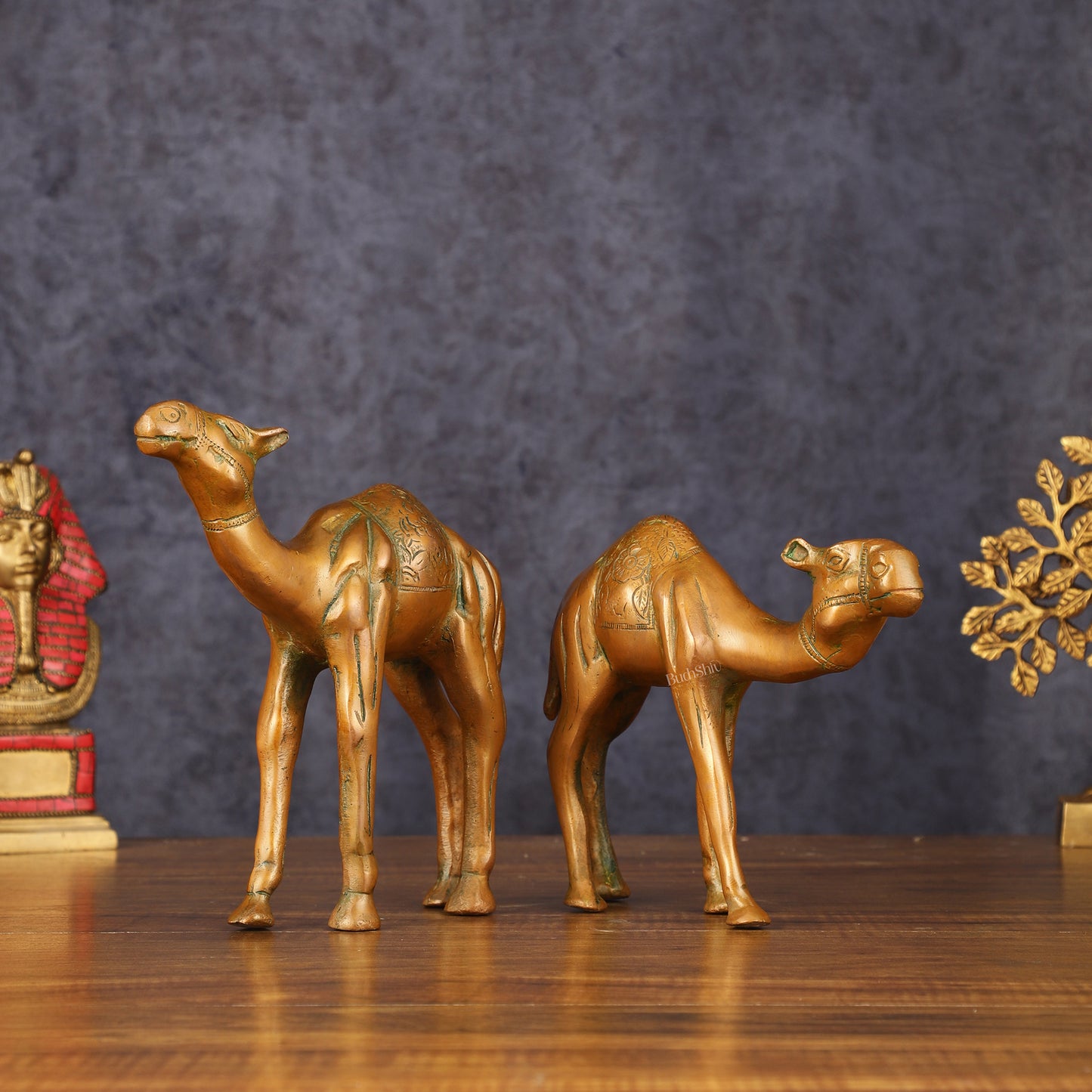 Brass Superfine Pair of Camel Vastu Recommended - 7" Tall