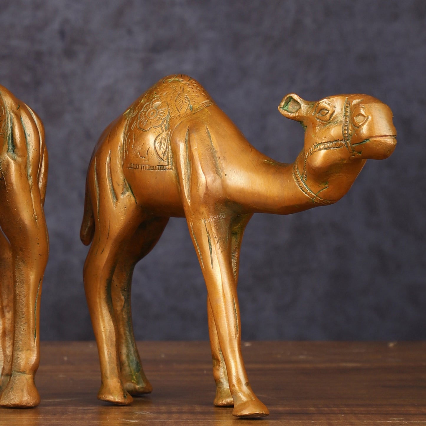 Brass Superfine Pair of Camel Vastu Recommended - 7" Tall