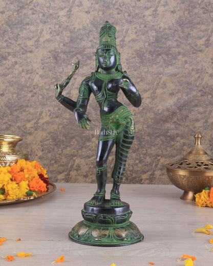 Pure Brass Ardhanarishwara Vintage black green - 12.5 Inch