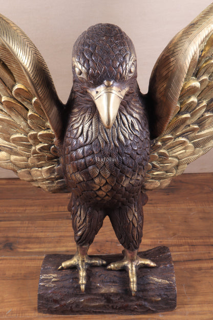 Brass Massive Eagle Jatayu with Open Wings Sculpture 41 inch