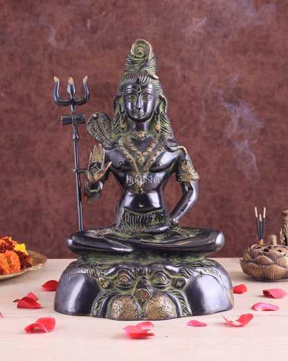 Brass Shiva Statue Duel tone black and green 13"