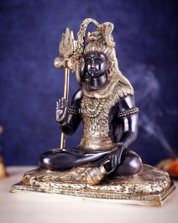 Pure Brass Lord Shiva Smiling Idol with Open Eyes 15" black gold